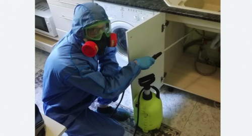 Уничтожение муравьев в квартире. Славянск-на-Кубани