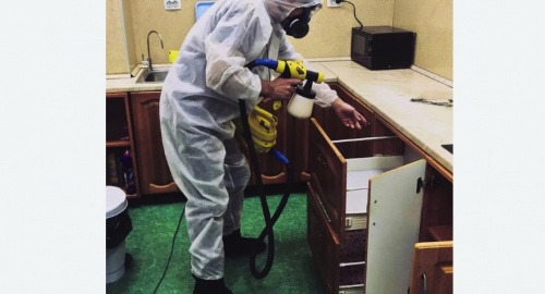 Уничтожение насекомых в квартире. Славянск-на-Кубани