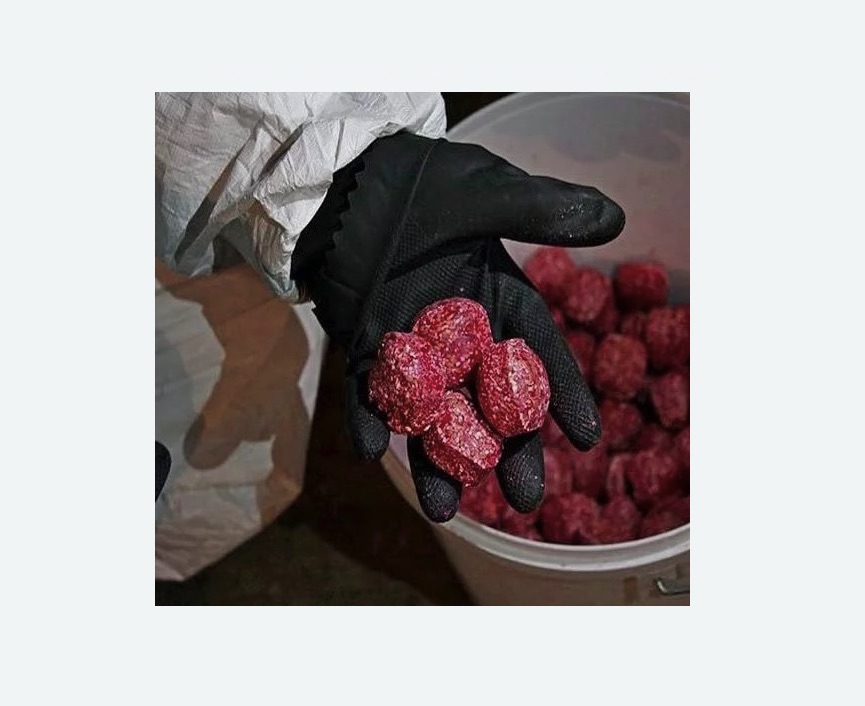 Обработка от крыс в Славянске-на-Кубани