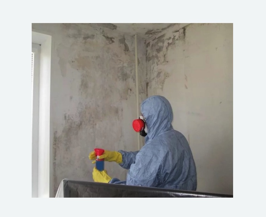 Удаление плесени в квартире в Славянске-на-Кубани