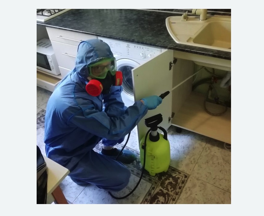 обработка от муравьев в квартире в Славянске-на-Кубани